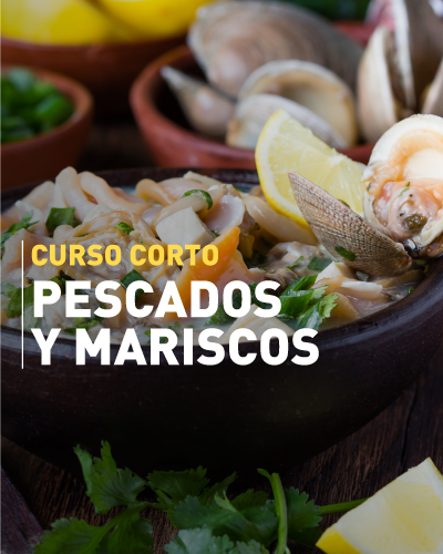 Pescados y Mariscos