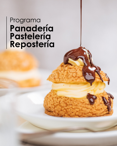 Programa de Panadería,Pastelería y Repostería
