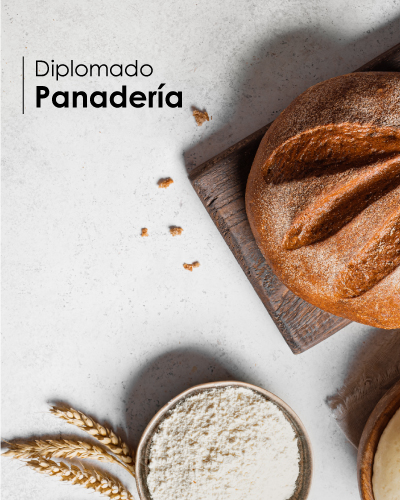 Diplomado en Panadería