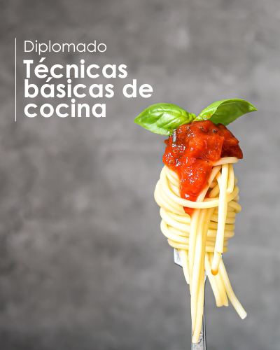 Diplomado en Técnicas Básicas de Cocina