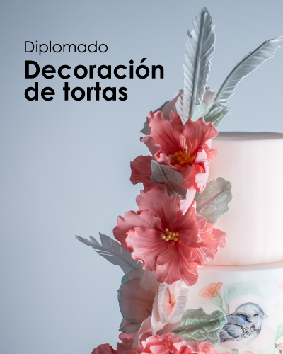 Diplomado de Decoración de Tortas