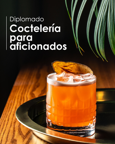 Coctelería para Aficionados