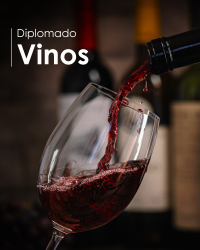 Diplomado en Vinos 